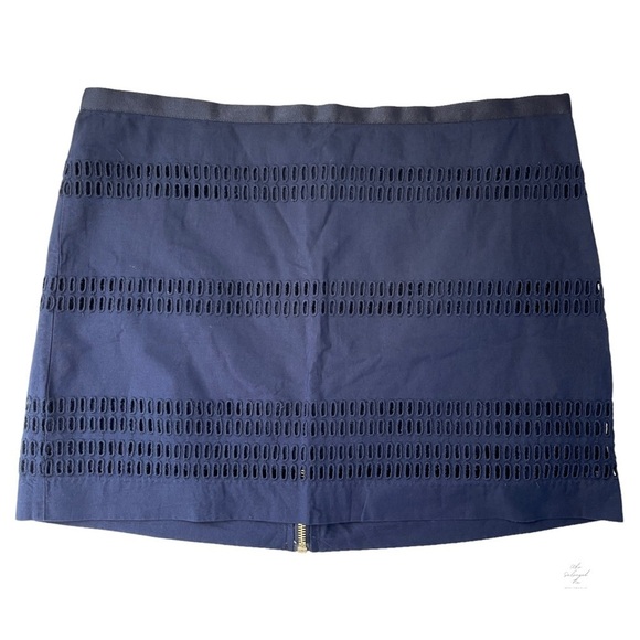 Gap Navy Blue Striped Embroidered Eyelet Mini Skirt Gold Zip Back Detail 8 - Picture 1 of 9